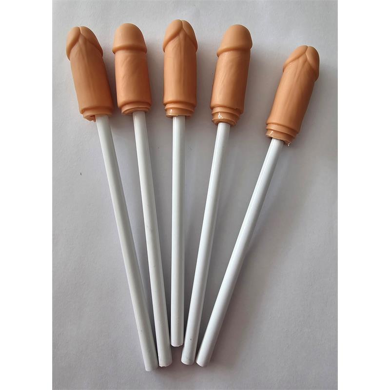 Conjunto de 5 Canetas com Penis