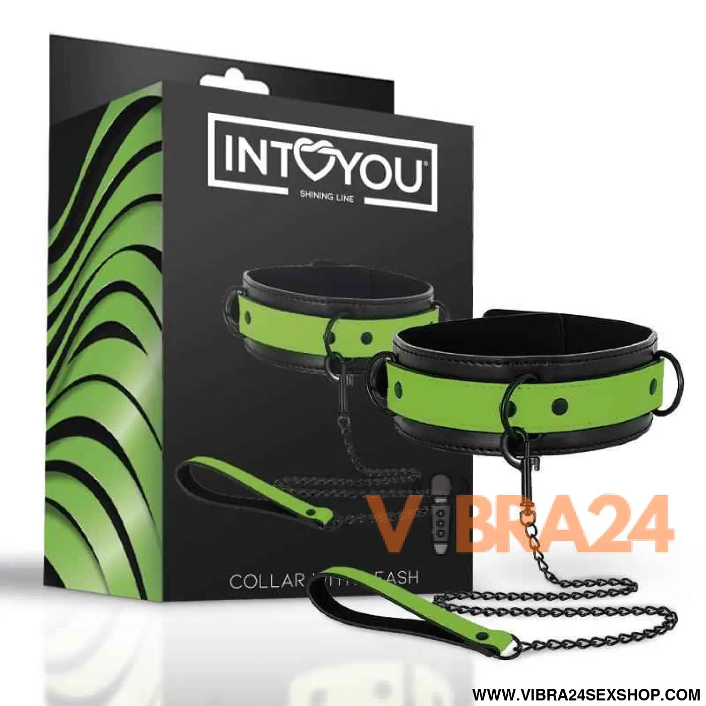 Glow in the Dark Collar with Leash