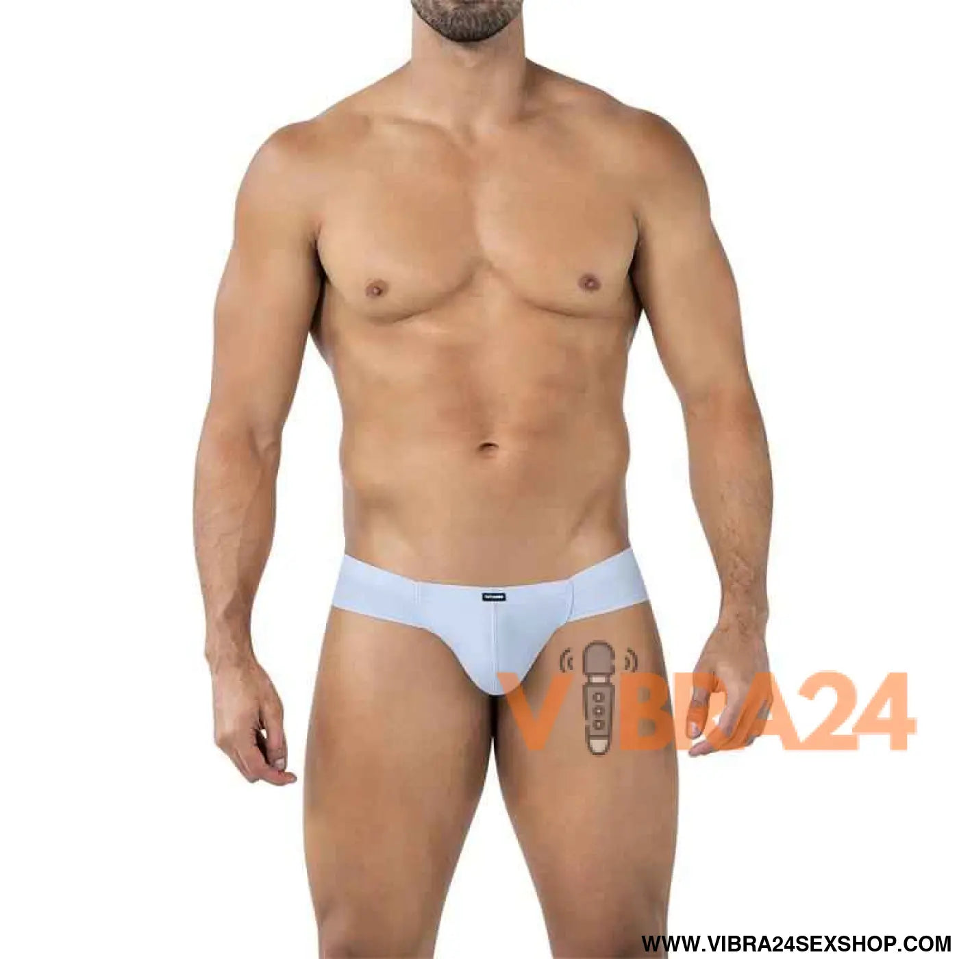 C4MSPX22 Hybrid Cheeky Brief Lavender