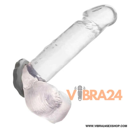 CALEXOTICS - ANEL ALPHA ERECT CINZA