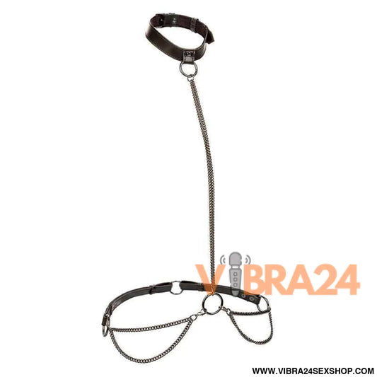 CALEXOTICS - EUPHORIA CHAIN HALTER COLEIRA E TRELA TAMANHO GRANDE