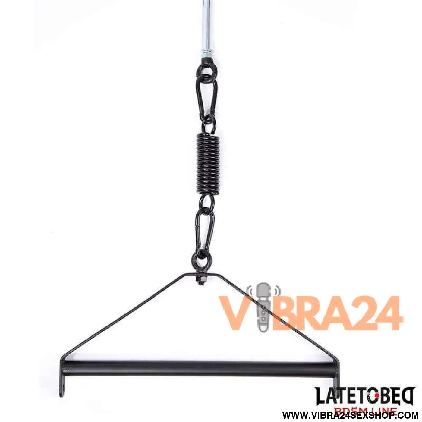 Ceiling Swing