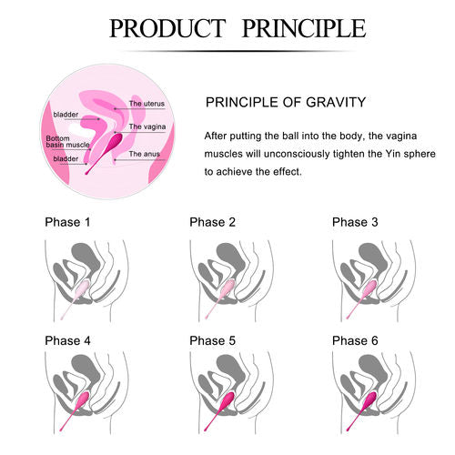 LESLIE - Conjunto Kegel Exercícios Assoalho Pélvico 6 PCS