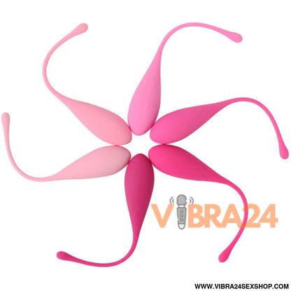 LESLIE - Conjunto Kegel Exercícios Assoalho Pélvico 6 PCS - VIBRA24 SEXSHOP