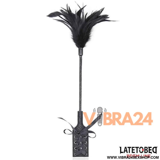 Multi Feathers Tickler and Lace Ribbon Paddle Comb