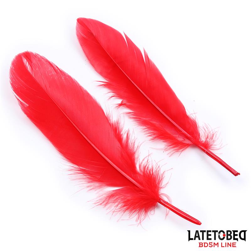 Conjunto bondage com penas para momentos íntimos de luxo